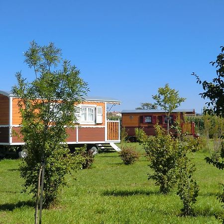 Les Roulottes-Gites De La Ferme De L'Autruche Dromoise Livron-sur-Drôme 외부 사진